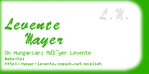 levente mayer business card